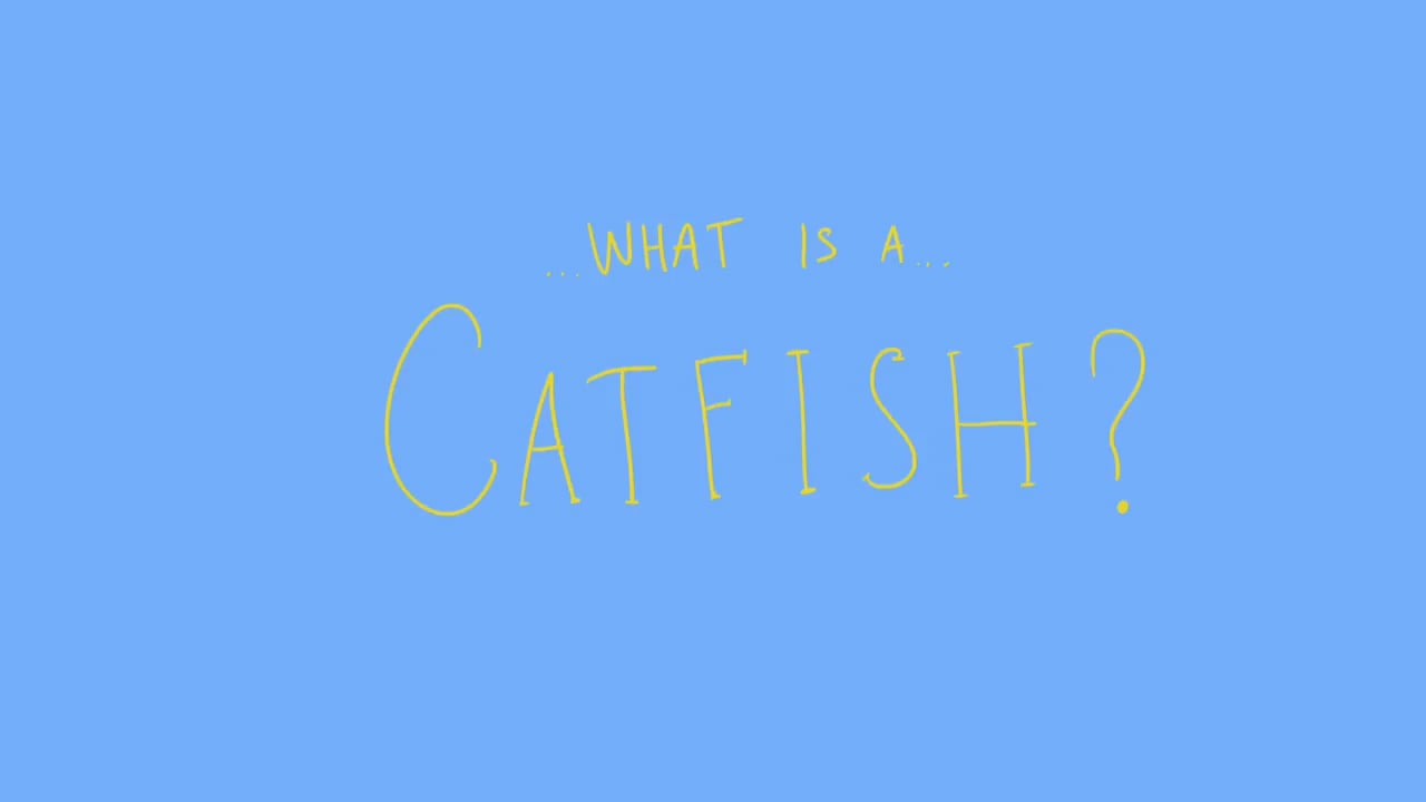 Still from Catfish Promo